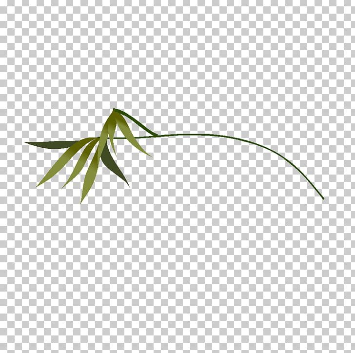 Plant Drawing Grasses PNG, Clipart, 2016, Drawing, Educational Game, English, Game Free PNG Download