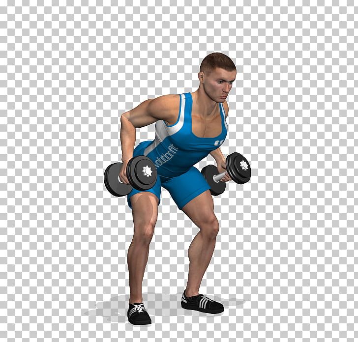 Weight Training Latissimus Dorsi Muscle Exercise Bodybuilding PNG, Clipart,  Free PNG Download