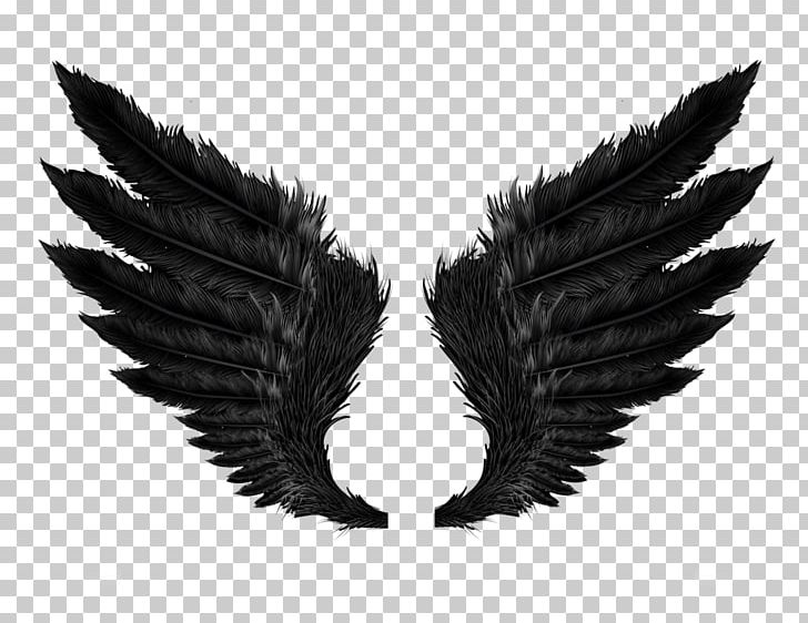 Wings Desktop Wallpaper Encapsulated Postscript PNG, Clipart, Angel Wings, Beak, Black And White, Clip Art, Data Compression Free PNG Download