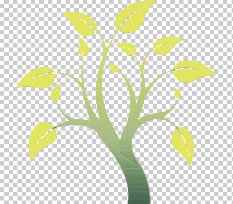 Green Leaf Yellow Plant Flower PNG, Clipart, Alismatales, Flower, Grass, Green, Leaf Free PNG Download