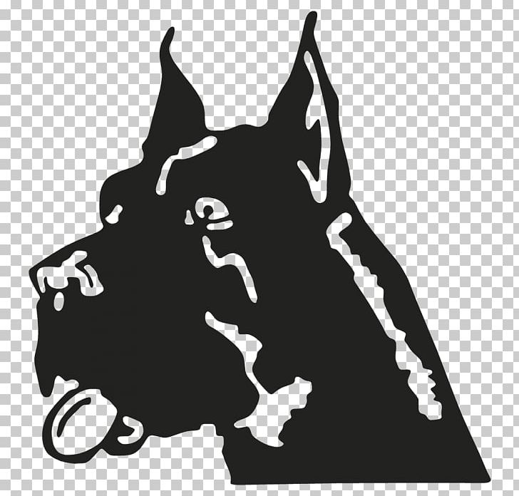 Cat Dog Mammal Snout PNG, Clipart, Black, Black And White, Canidae, Carnivoran, Cat Free PNG Download