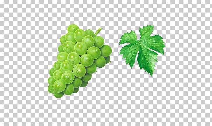 Grape Muscat Seedless Fruit PNG, Clipart, Computer Graphics, Food, Fruit, Fruit Nut, Grape Leaves Free PNG Download