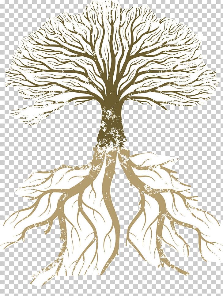 Root Tree Graphics Branch Illustration PNG, Clipart, Art, Black And White, Branch, Drawing, Family Tree Free PNG Download