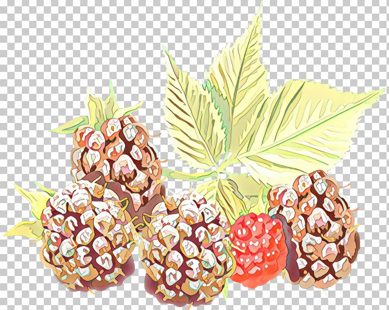 Pineapple PNG, Clipart, Accessory Fruit, Berry, Food, Fruit, Loganberry Free PNG Download