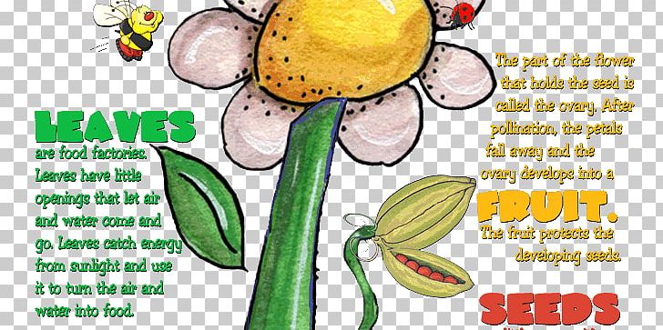 Plant Cell Worksheet Root Biology PNG, Clipart, Biology, Botany, Child, Commodity, Flower Free PNG Download