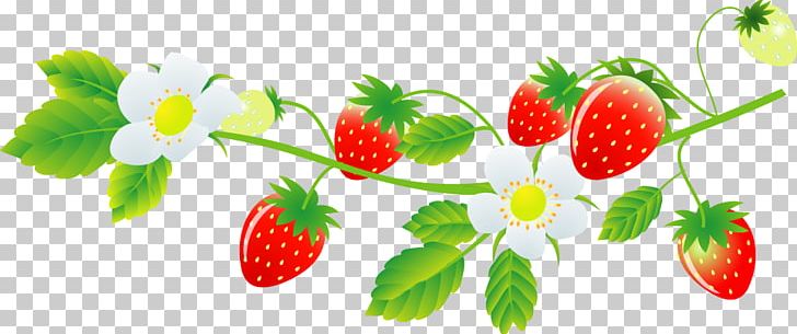 Strawberry Marimo Farm Food Daifuku いちご大福 PNG, Clipart, Blog, Cooking, Cuisine, Daifuku, Flower Free PNG Download