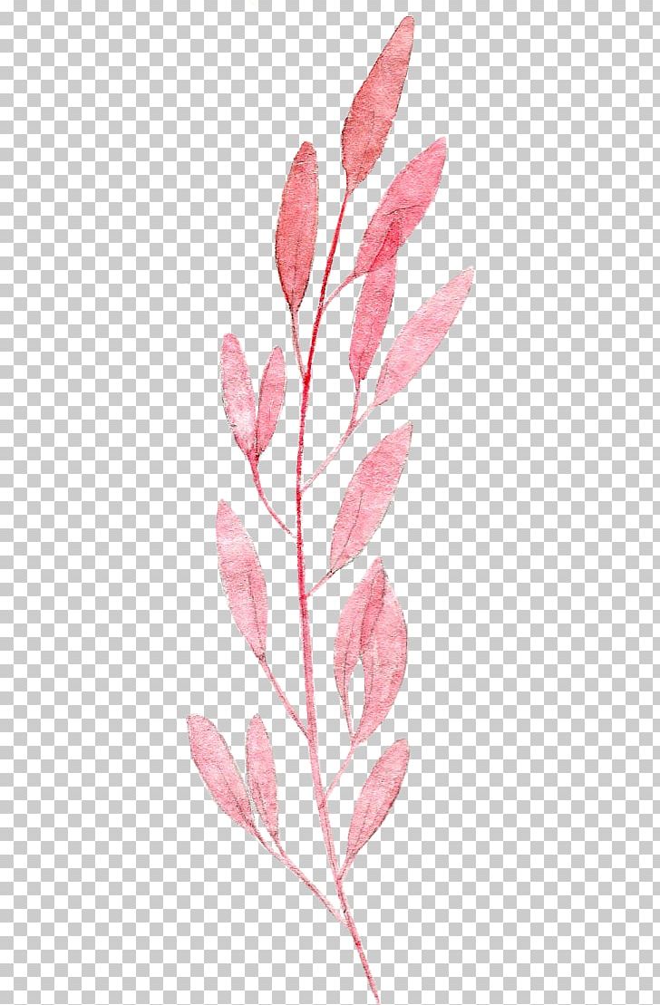 Watercolor Painting Leaf Pink Drawing PNG, Clipart, Autumn Leaves, Branch, Color, Download, Drawing Plant Free PNG Download