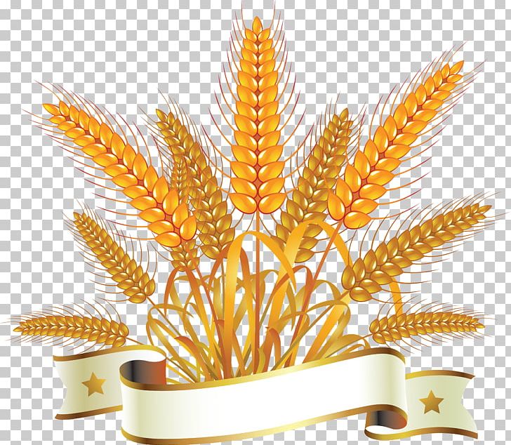 Bread Wheat PNG, Clipart, Bakery, Barley, Bread, Cereal, Commodity Free PNG Download