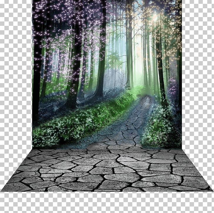 Enchanted Forest Photography Desktop PNG, Clipart, Albacreative, Desktop Wallpaper, Enchanted, Enchanted Forest, Fairy Free PNG Download