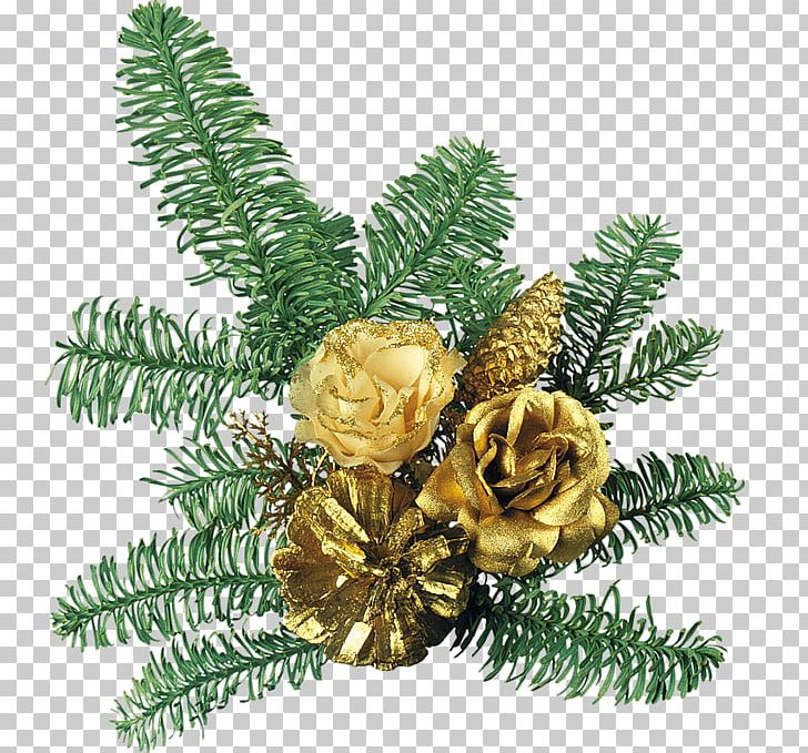 Fir Christmas Ornament Spruce PNG, Clipart, Branch, Christmas, Christmas Decoration, Christmas Ornament, Christmas Tree Free PNG Download