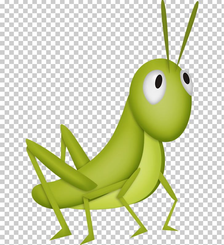 Insect Grasshopper PNG, Clipart, Balloon Cartoon, Cartoon Character, Cartoon Couple, Cartoon Eyes, Cartoon Green Free PNG Download