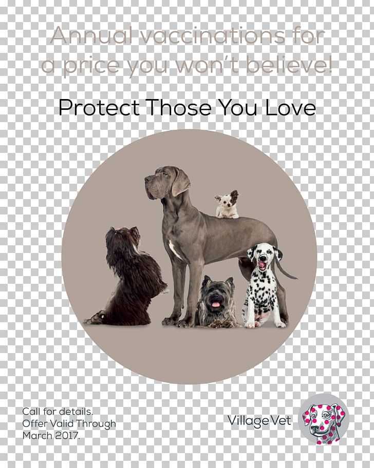 Weimaraner Great Dane Italian Greyhound Puppy Dog Breed PNG, Clipart, Breed, Carnivoran, Crossbreed, Dog, Dog Breed Free PNG Download