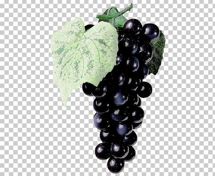 Grape Wine Grappa Harvest PNG, Clipart, Black, Black Grapes, Bunch, Bunch Of Grapes, Delicious Free PNG Download