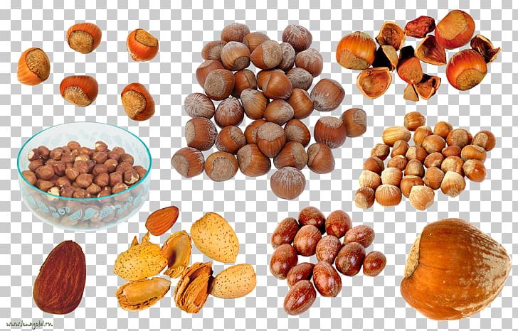 Praline Nuts Walnut PNG, Clipart, Almond, Auglis, Bean, Bread, Cashew Free PNG Download