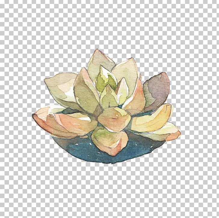 Succulent Plant Watercolor Painting Leaf PNG, Clipart, Babies, Baby, Baby Animals, Baby Announcement, Baby Announcement Card Free PNG Download
