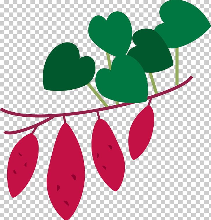 Sweet Potato Leaf PNG, Clipart, Artwork, Fall Season, Flower, Flowering Plant, Food Free PNG Download