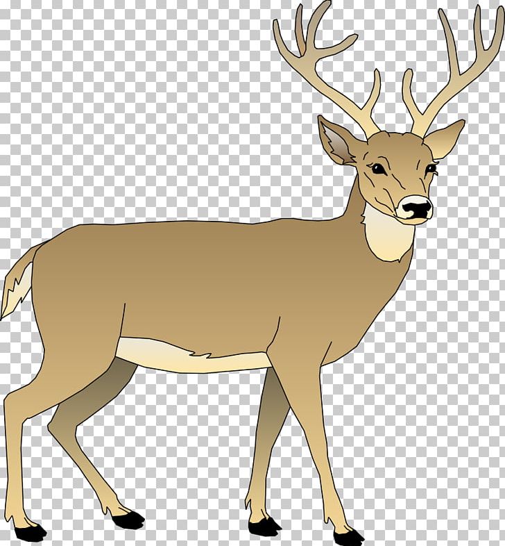 White-tailed Deer PNG, Clipart, Antelope, Antler, Blog, Deer, Download Free PNG Download