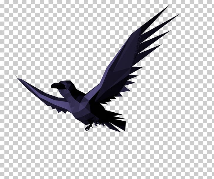 Bird GIFアニメーション Animated Film Desktop PNG, Clipart, Animals, Animated Film, Beak, Bird, Bird Flight Free PNG Download