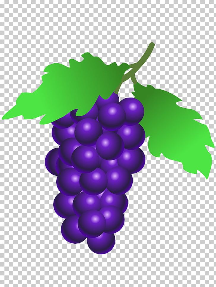 Common Grape Vine Grape Leaves PNG, Clipart, Common Grape Vine, Computer Icons, Download, Drawing, Flowering Plant Free PNG Download