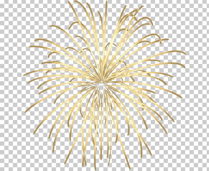 Fireworks Color PNG, Clipart, Animation, Art, Art Museum, Cartoon, Color Free PNG Download