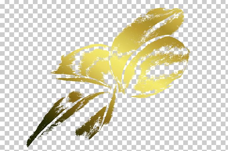Insect Flower Petal Plant Stem Yellow PNG, Clipart, Animals, Closeup, Commodity, Flower, Flower Petal Free PNG Download