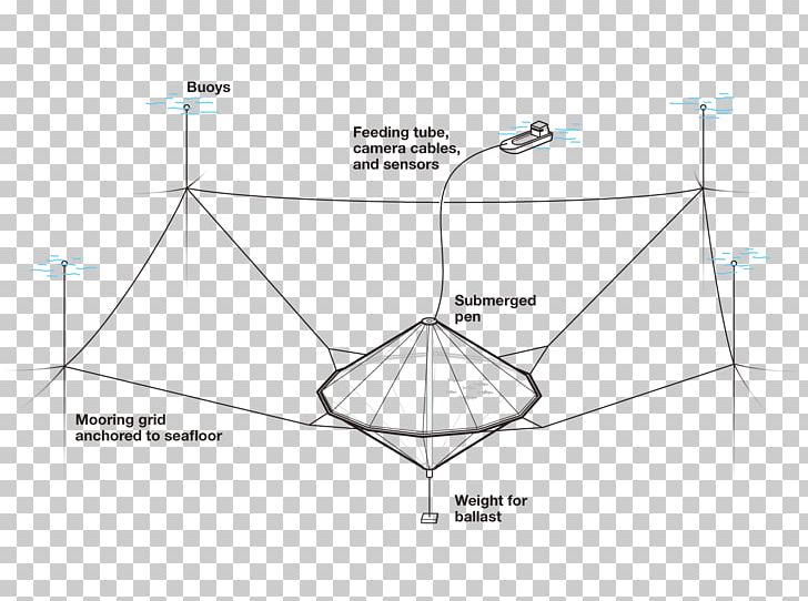 Line Point Angle PNG, Clipart, Angle, Area, Art, Circle, Determine Free PNG Download