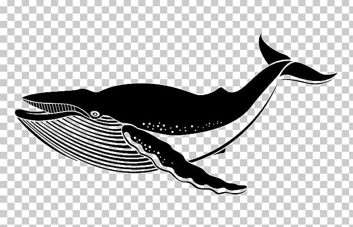 Wall Decal Sticker Blue Whale PNG, Clipart, Animals, Bird, Blue, Blue Whale, Cetacea Free PNG Download