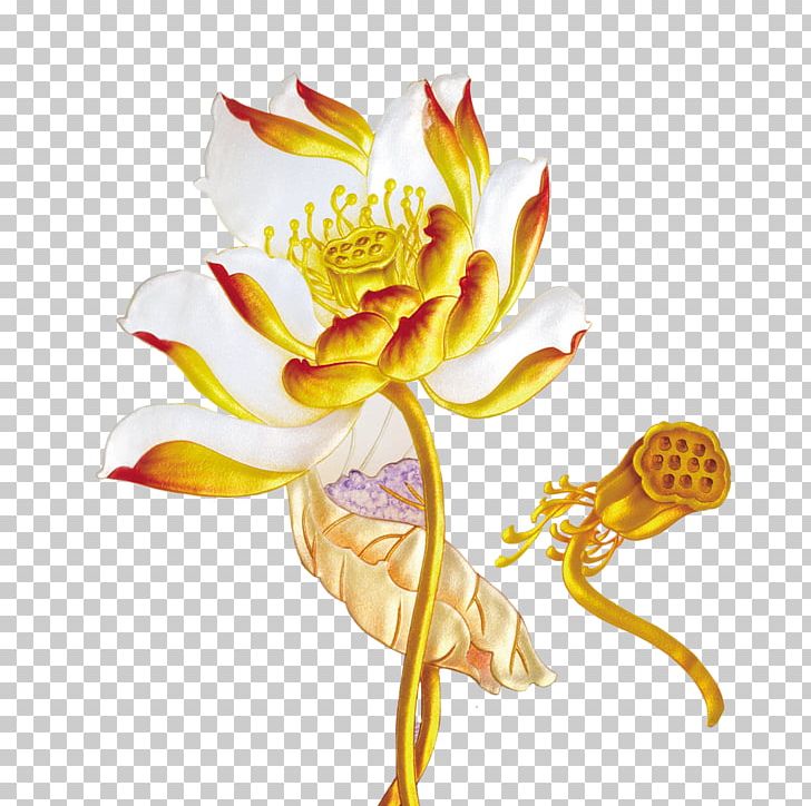 Computer File PNG, Clipart, Adobe Illustrator, Chrysanths, Cut Flowers, Daisy Family, Encapsulated Postscript Free PNG Download