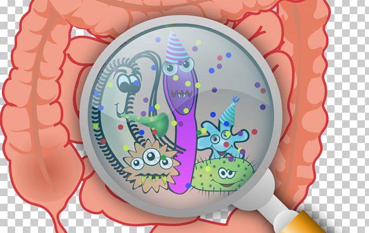 Gut Flora Microbiota Gastrointestinal Tract Bacteria Dysbiosis PNG, Clipart, Bacteria, Brain, Cell, Dysbiosis, Flora Free PNG Download
