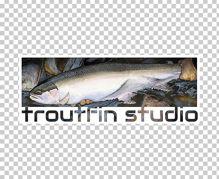 Sardine Fish Products Coho Salmon Trout Mackerel PNG, Clipart, Barramundi, Coho, Coho Salmon, Fauna, Fish Free PNG Download
