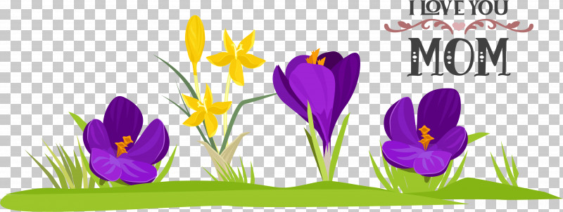 Floral Design PNG, Clipart, Crocus, Floral Design, Flower, Irises, Iris Family Free PNG Download