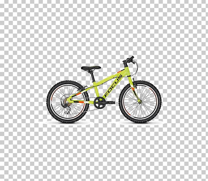 Bicycle Focus Bikes Cycling Mountain Bike Rookie PNG, Clipart, Balance Bicycle, Bicycle, Bicycle Accessory, Bicycle Frame, Bicycle Frames Free PNG Download