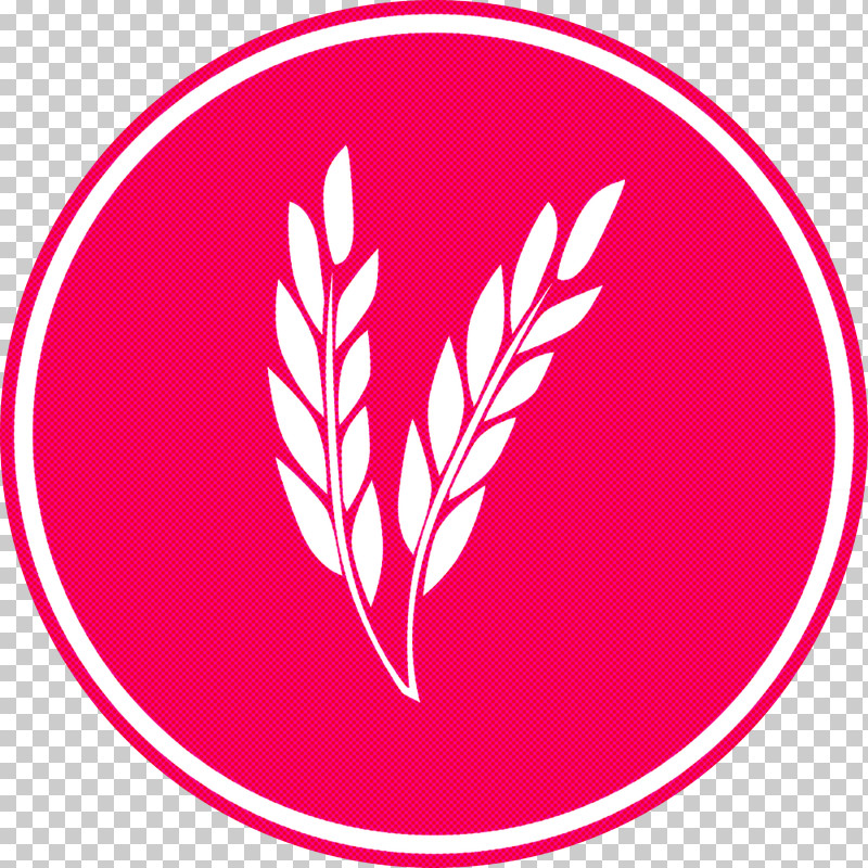 Oats Wheat Oats Logo PNG, Clipart, Drawing, Leaf, Logo, Oat, Oats Free PNG Download