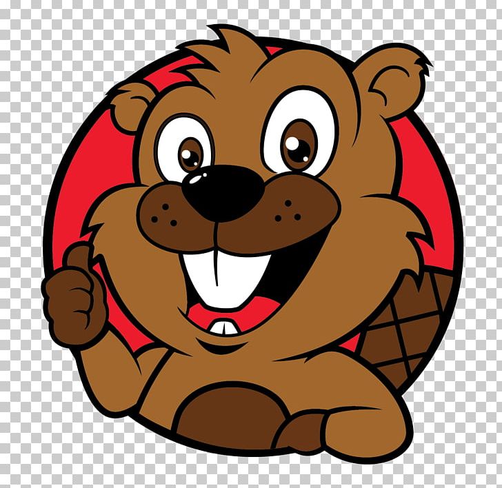 Beaver Dam Bear School PNG, Clipart, Animals, Bear, Beaver, Beaver Dam, Big Cats Free PNG Download