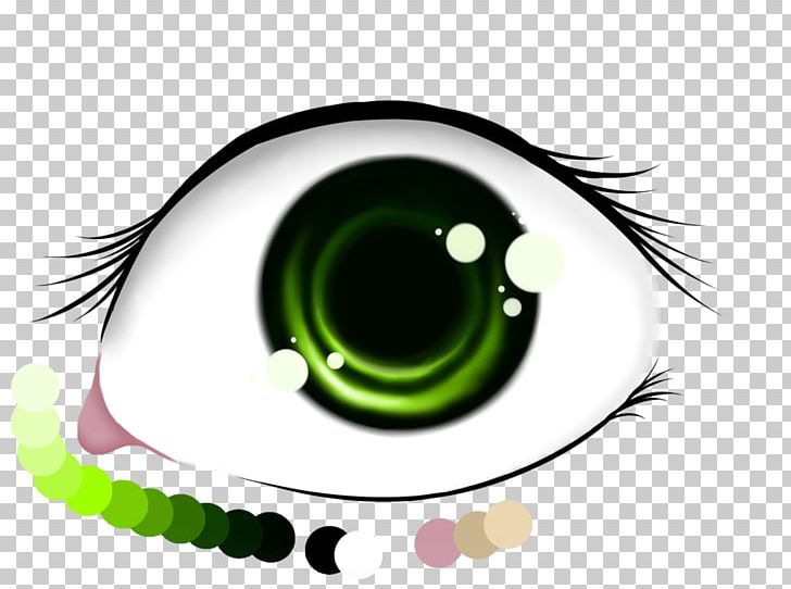 Eyelash Eyebrow Close-up Brand PNG, Clipart, Brand, Circle, Closeup, Eye, Eyebrow Free PNG Download
