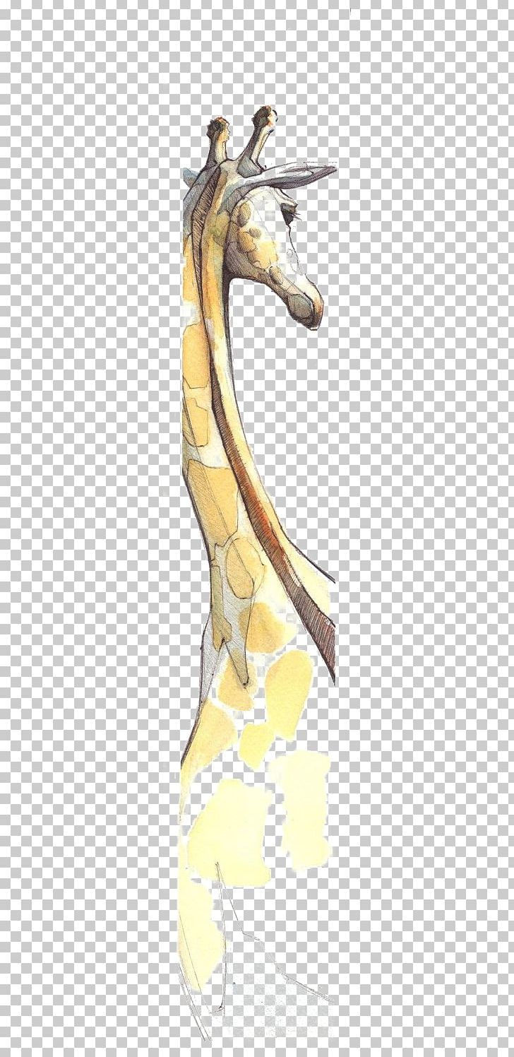 Giraffe Drawing Watercolor Painting Illustration PNG, Clipart, Animal, Animals, Art, Brush, Drawing Free PNG Download