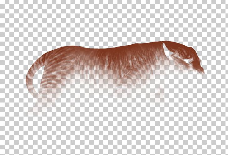 Lion Dog Fang Agility Smarts PNG, Clipart, Agility, Animals, Carnivoran, Dog, Dog Like Mammal Free PNG Download