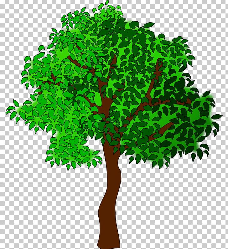 Open Tree Season PNG, Clipart, Art, Autumn, Branch, Clip, Grass Free PNG Download