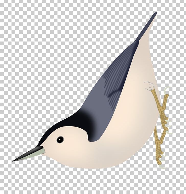 Bird Passerine White-breasted Nuthatch Yunnan Nuthatch Brown-headed Nuthatch PNG, Clipart, Algerian Nuthatch, Animals, Beak, Bird, Brownheaded Nuthatch Free PNG Download