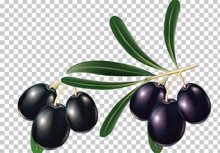 Mediterranean Cuisine Olive Oil Olive Leaf PNG, Clipart, Berry, Black, Black Background, Black Hair, Black Vector Free PNG Download