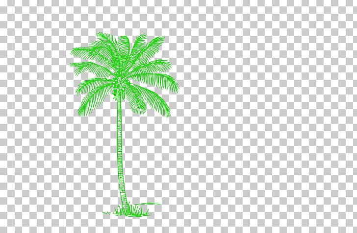 Sammy Arriaga Arecaceae Child Cold In Miami Coconut PNG, Clipart, Arecaceae, Arecales, Art, Child, Coconut Free PNG Download