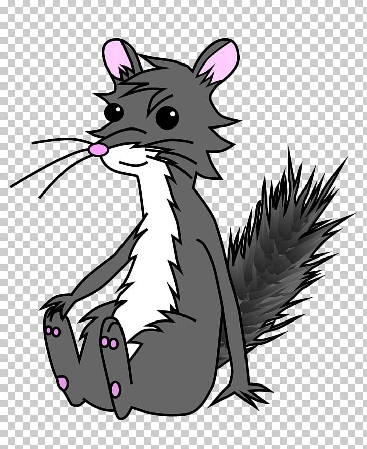 Whiskers Cat Squirrel Rat Mouse PNG, Clipart, Animals, Beak, Bird, Canidae, Carnivoran Free PNG Download