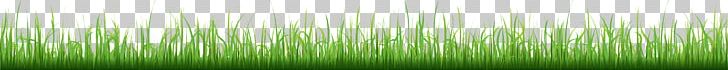 Grasses Angle Plant Stem Family PNG, Clipart, Angle, Artificial Grass, Cartoon Grass, Creative Grass, Family Free PNG Download