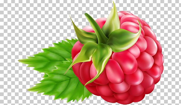 Raspberry Blackberry Desktop PNG, Clipart, Auglis, Berry, Blackberry, Clip, Computer Free PNG Download