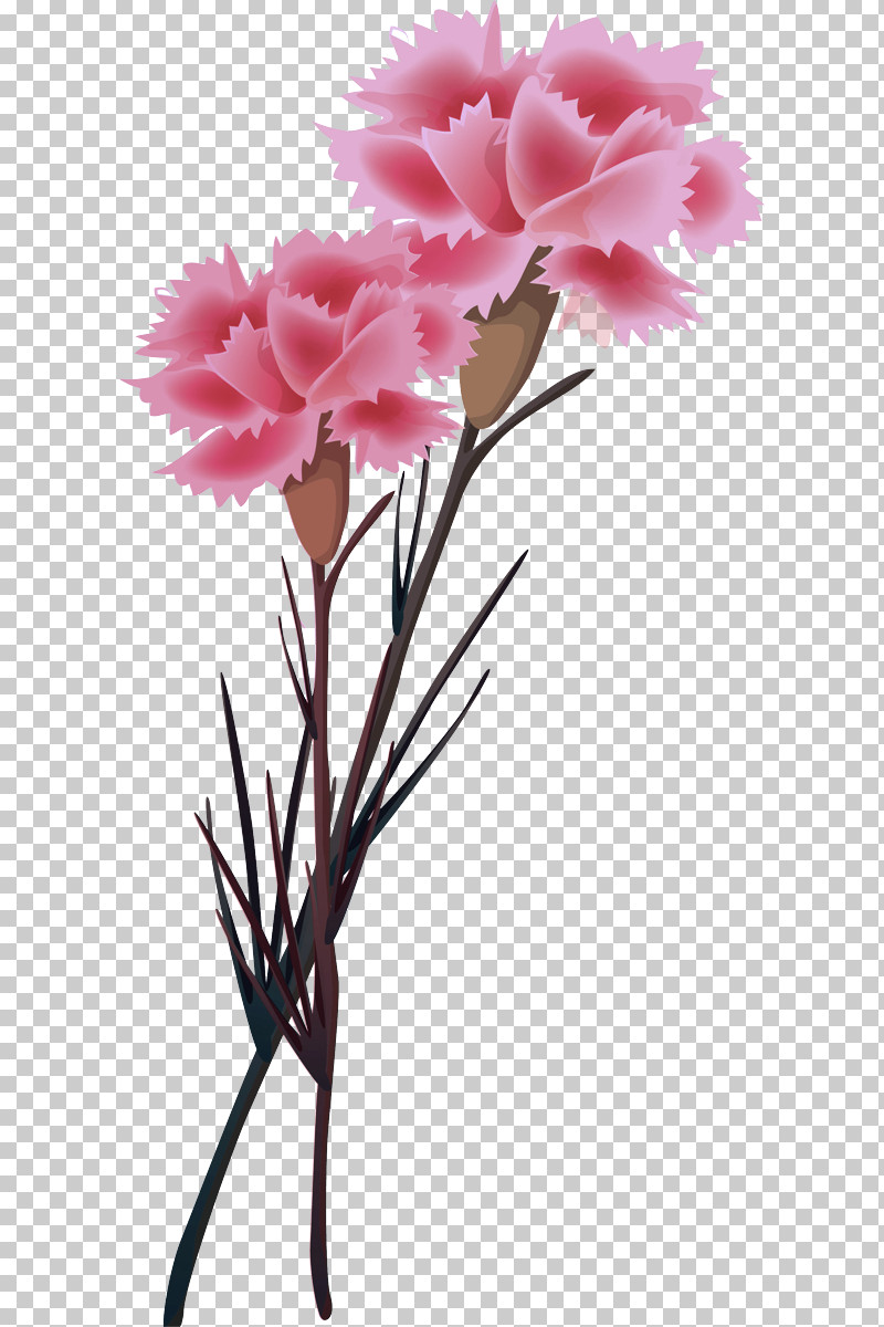 Floral Design PNG, Clipart, Biology, Carnation, Cut Flowers, Floral Design, Flower Free PNG Download