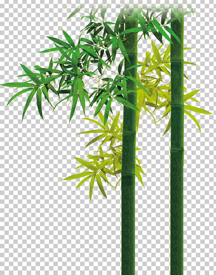 Bamboo PNG, Clipart, Adobe Illustrator, Bamboo Border, Bamboo Frame, Bamboo Leaf, Bamboo Leaves Free PNG Download