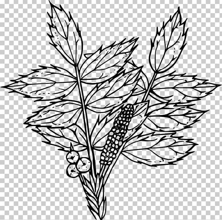 Drawing Oregon Grape Line Art PNG, Clipart, Art, Artwork, Black And White, Branch, Drawing Free PNG Download