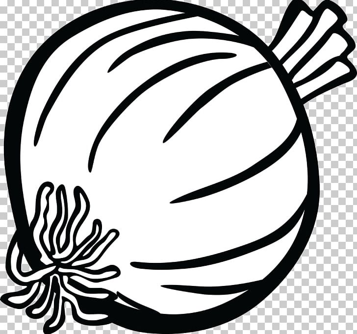 Onion Drawing PNG, Clipart, Art, Artwork, Black, Black And White, Circle Free PNG Download