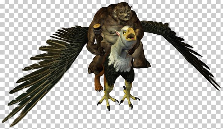 Owl Hawk Fauna Eagle Beak PNG, Clipart, Beak, Bird, Bird Of Prey, Eagle, Falcon Free PNG Download