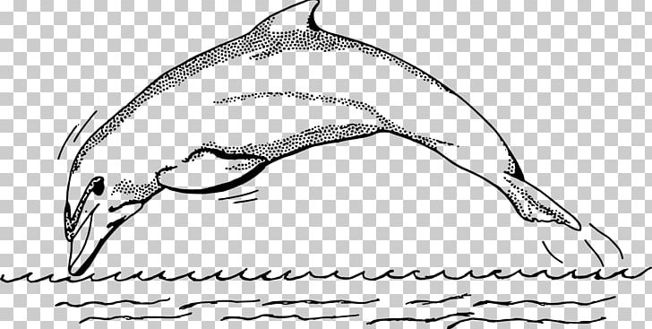 Common Bottlenose Dolphin Spinner Dolphin Black And White PNG, Clipart, Animals, Artwork, Beak, Bird, Bottlenose Dolphin Free PNG Download